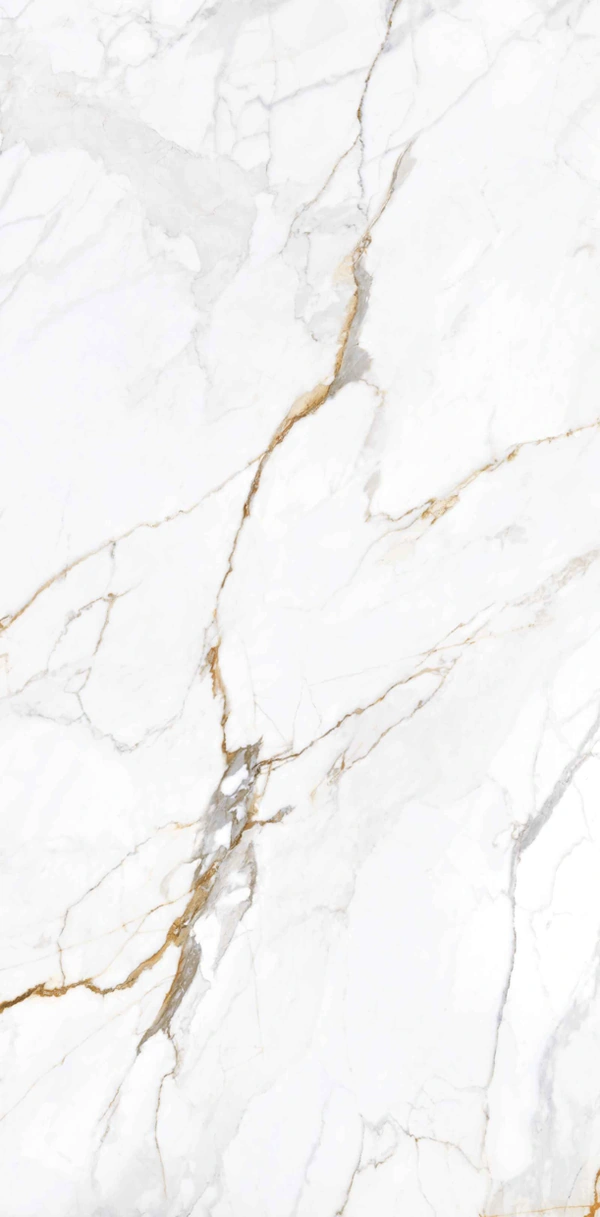 Apollo White